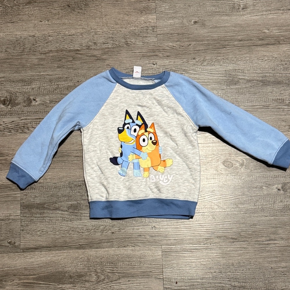 Unisex bluey sweater